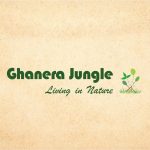 Ghanera Jungle